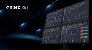 Unlocking the Potential of PrimeXBT Traders