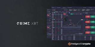 Unlocking the Potential of PrimeXBT Traders