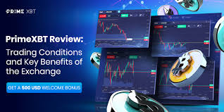 Exploring the PrimeXBT Online Trading Platform Your Guide to the Future of Trading